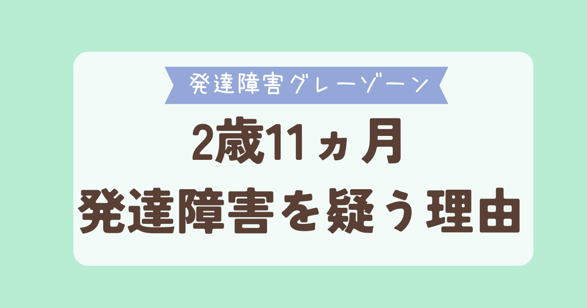 発達障害グレーゾーン　2歳11ヵ月発達障害を疑う理由