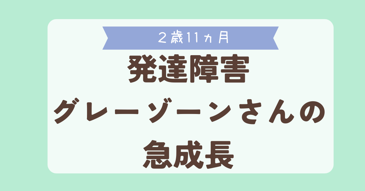 2歳11ヵ月　発達障害グレーゾーンさんの急成長