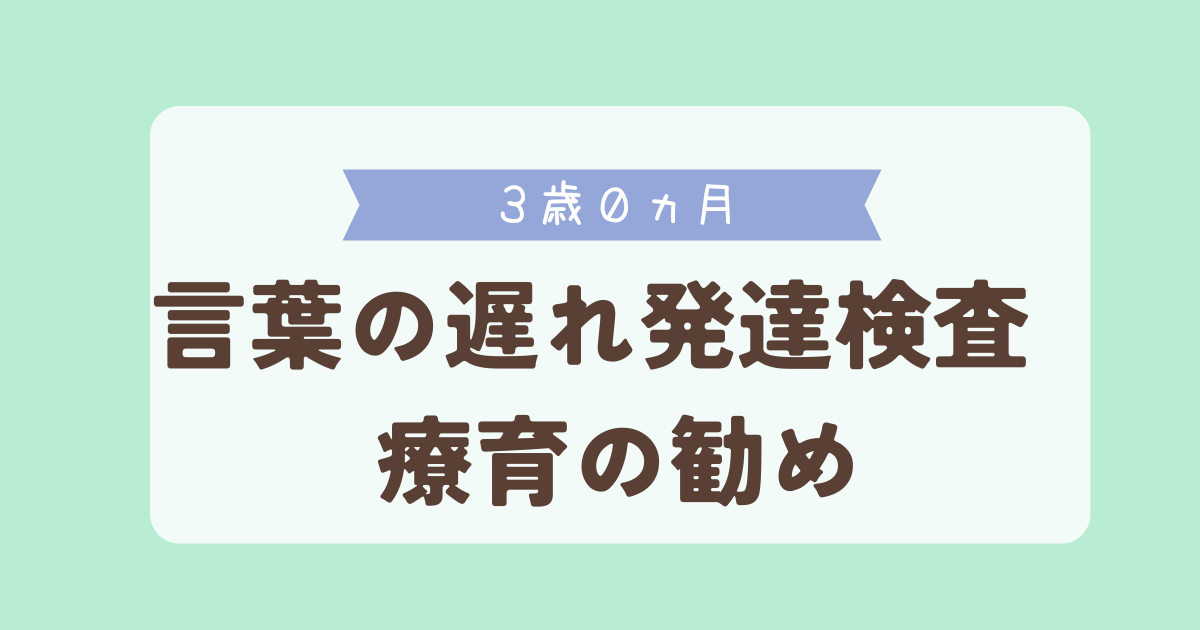 ３歳０ヵ月　言葉の遅れ　発達検査　療育の勧め