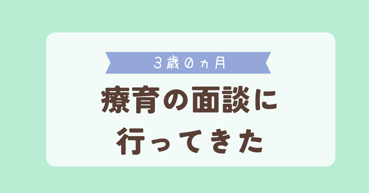 3歳0ヵ月　療育の面談に行ってきた